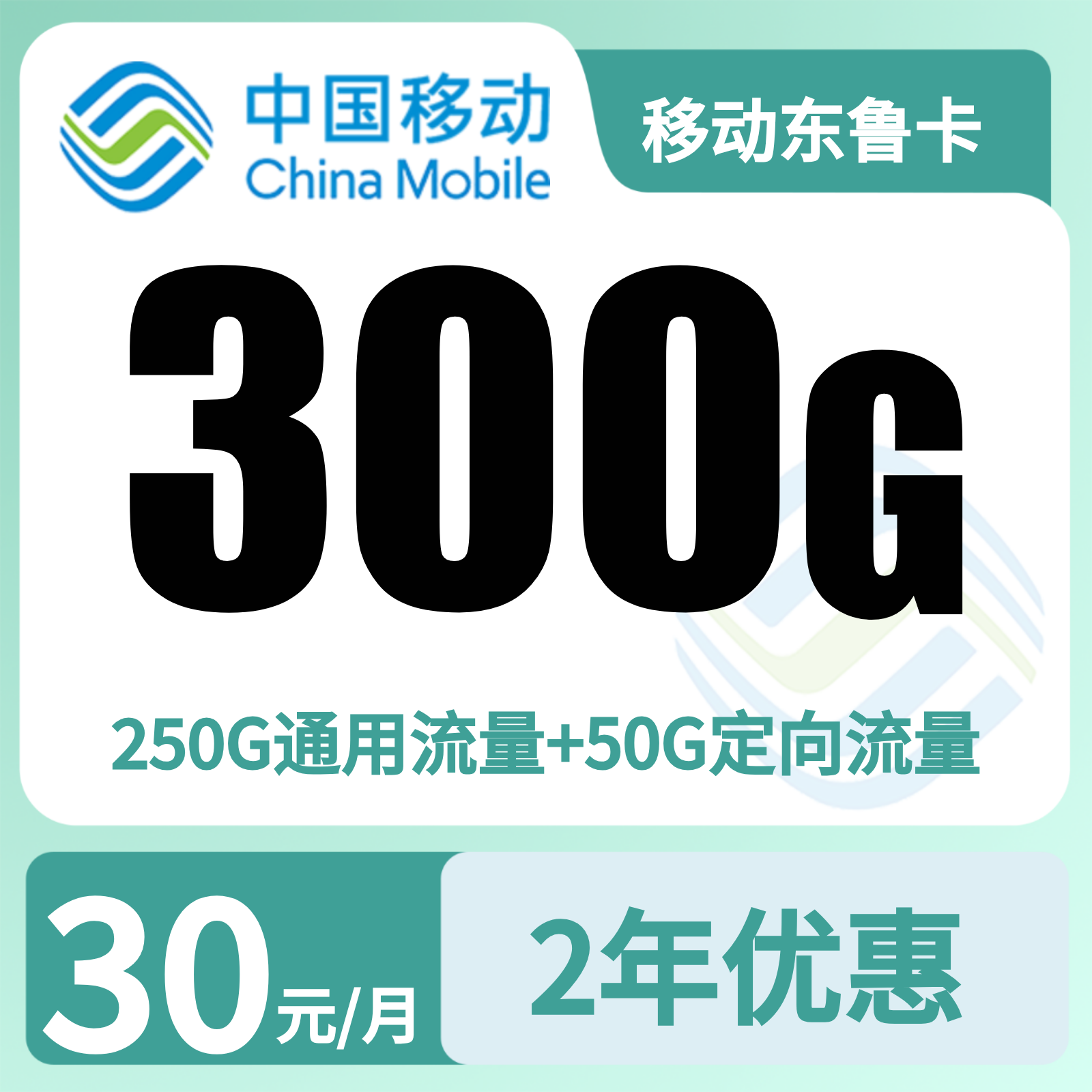 移动东鲁卡30元300G+100分钟【只发山东】