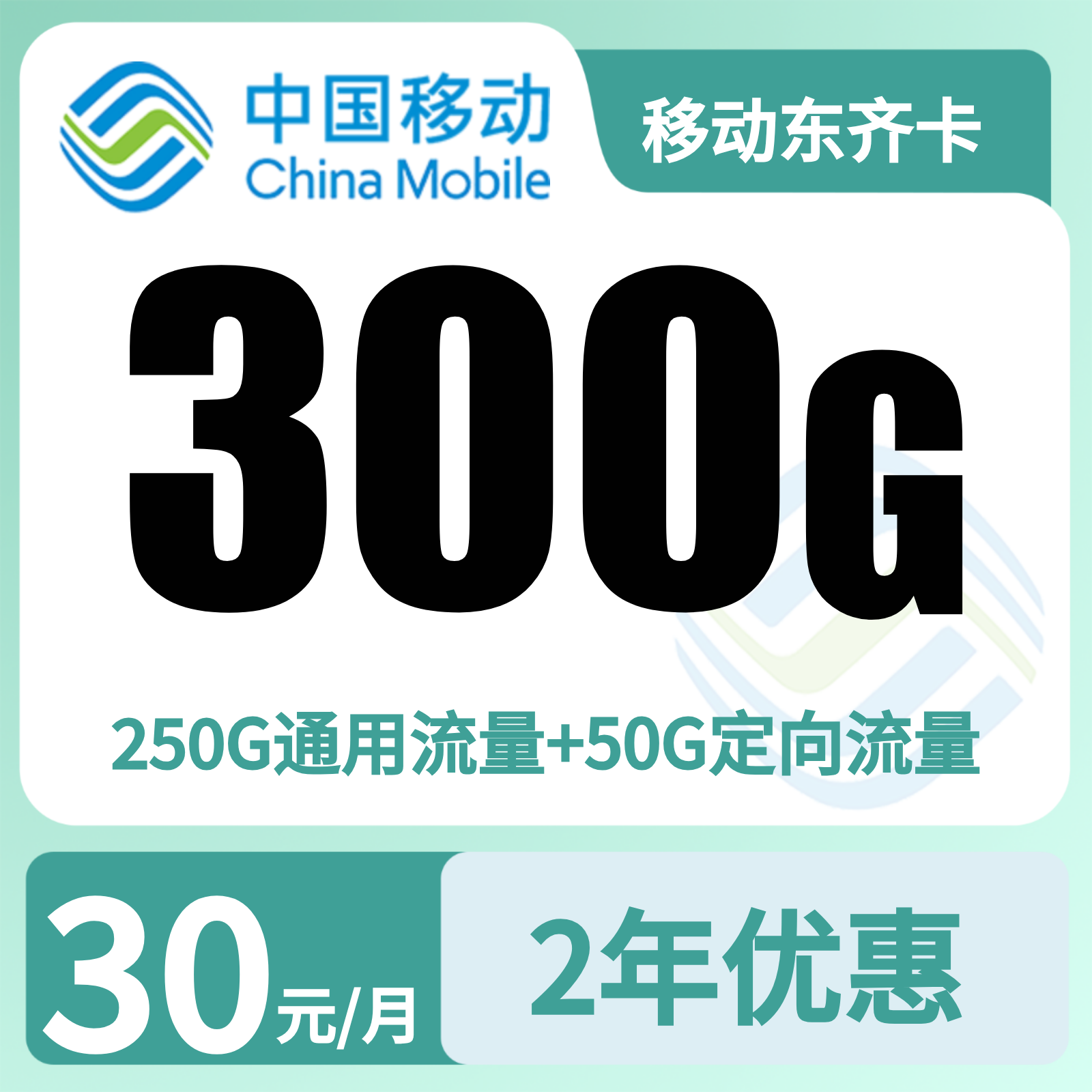 GY移动东齐卡30元300G+100分钟【只发山东】